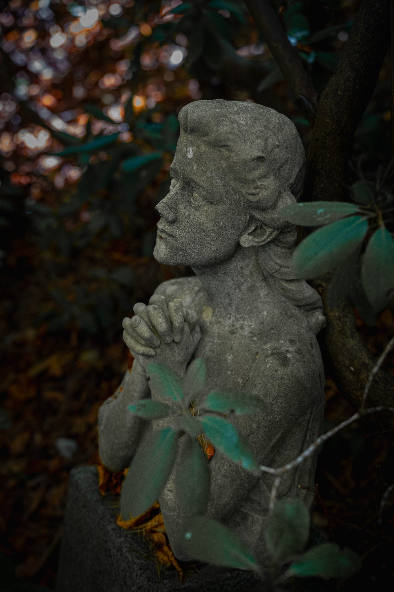 Praying figure among rhododendron leaves
